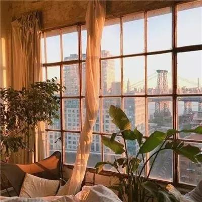 云开全站登录app