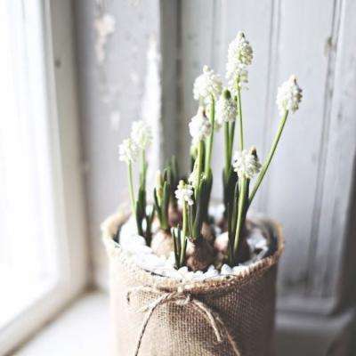 澳门人威尼斯3966手机app下载