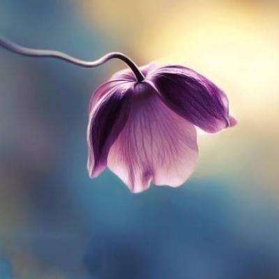 今天买什么特马下载手机版